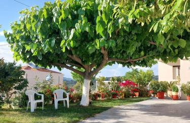 Sunset Apartments - Foto 23