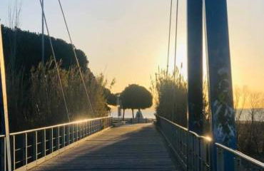 Special Complex Sol Cambrils - Photo 39