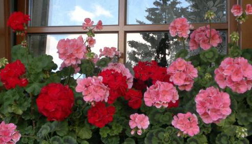 Casa Guido e Laura - Foto 4