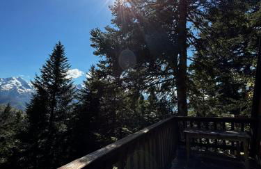 Chalet de montagne - Foto 25