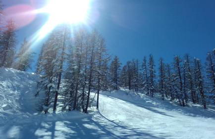 Le Skisun - Altitude 1800 - Puy Saint Vincent - Massif et Parc national des Ecrins - Foto 19