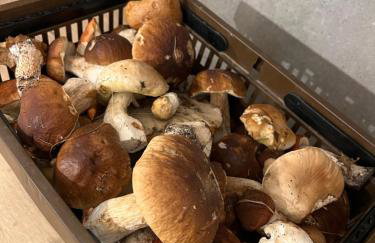 Andrzejówka - Foto 13