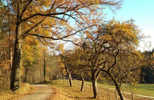 Ferienwohnung im Grünen - Photo 11