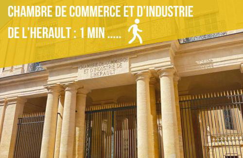 SYLOU - Centre historique, 4 personnes, Climatisation, Netflix, Comédie, Tramway, Gare - Foto 41