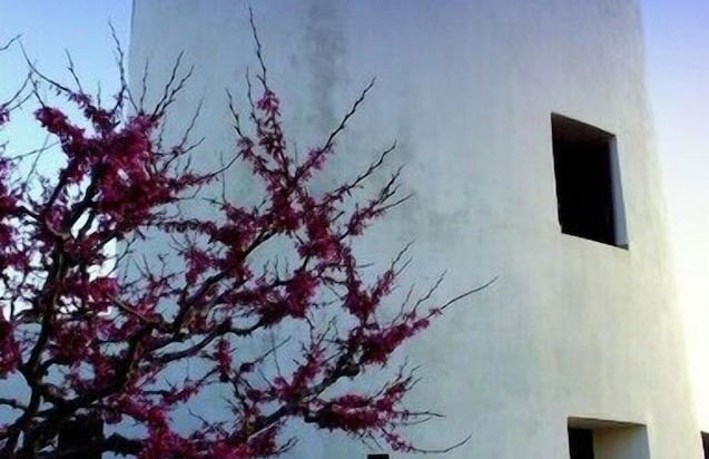 Windmill Complex - Photo 31