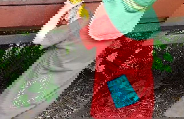 Farm Ferienhof Albert - Photo 25