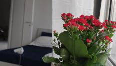 Casa Gimaga - Foto 3