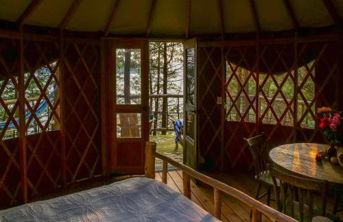 Finlays Cove on the Lake - Foto 64