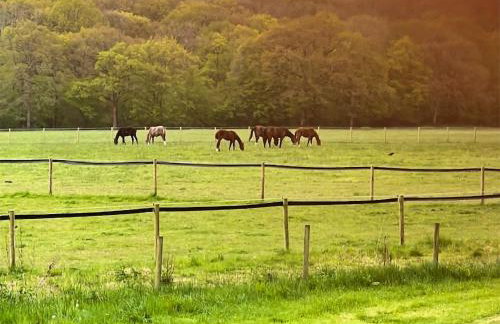 Wysteria, North Lodge - Photo 9