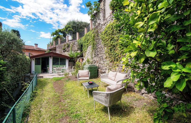 Lemon Tree - Photo 9