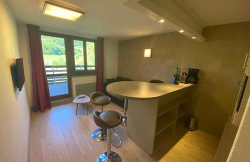 Sancy Resort - Foto 34