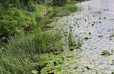 Gold Pearl Zegrze - Foto 45