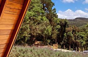 Chalé do Portal - Foto 11