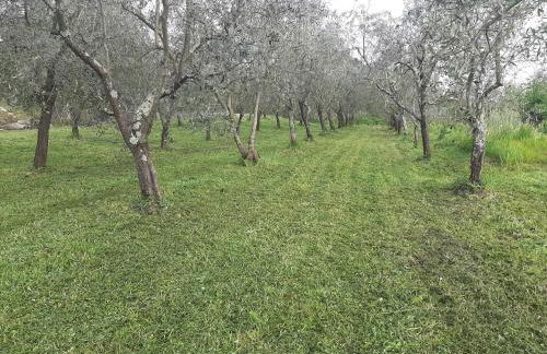 Casa magrini - Foto 18