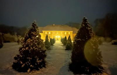 Arboris - Retreat into the open - Photo 6