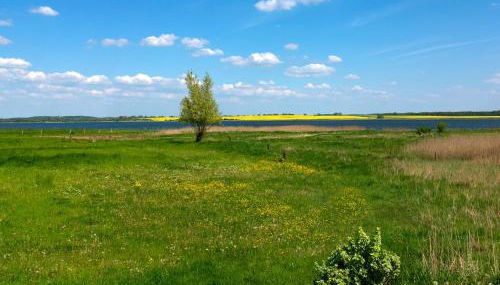 Haus Sonnenschein Sommerwiese - Foto 2