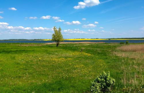 Haus Sonnenschein Sommerwiese - Foto 2