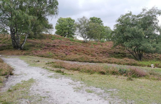 8 Person Holiday Home in Gjern-by Traum - Photo 7