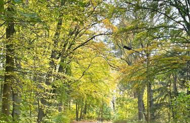 HORAMI Villa - ORIGAMI Apartment mit Terrasse - Foto 20