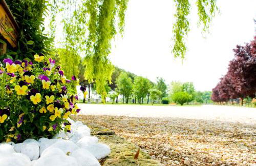 Agriturismo Le Cipressine - Foto 78