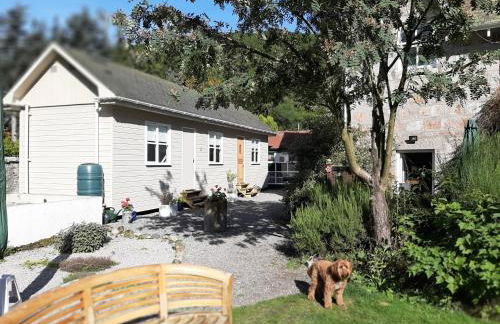 The Cabin at No 45 - Foto 15