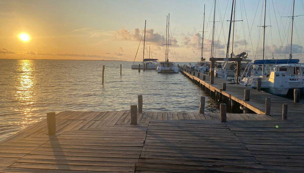 Swimming with Whale Sharks in Isla Mujeres - Foto 5