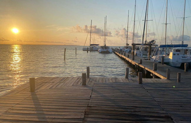 Swimming with Whale Sharks in Isla Mujeres - Foto 5