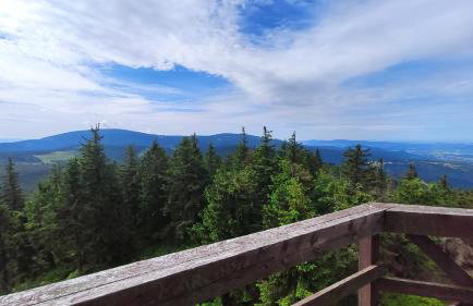 Apartamenty Kletno - Foto 31