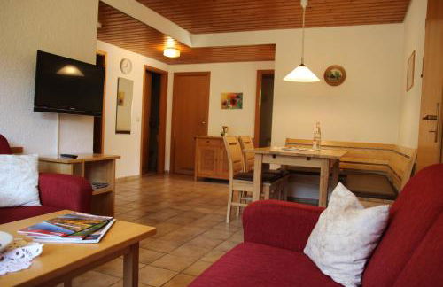 Steiert Panorama Apartments Todtnau - Foto 68