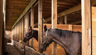 Farmhouse of Blessings - Foto 4