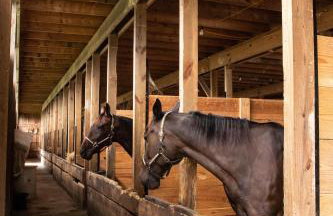 Farmhouse of Blessings - Foto 4