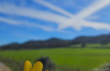 Finca rural Labriega del hueznar - Photo 69