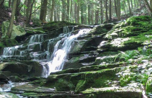 Private Dog-Friendly Home 3 Mi to Elk Mountain - Foto 38