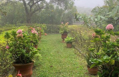 Sítio São Gerardo - Aconchegante casa no campo. - Foto 2