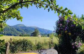 La basse-cour - Photo 3