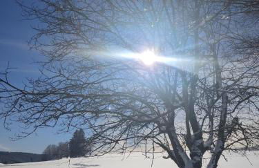 Gasthaus Piesau - Thüringer Wald - Rennsteig - Foto 3