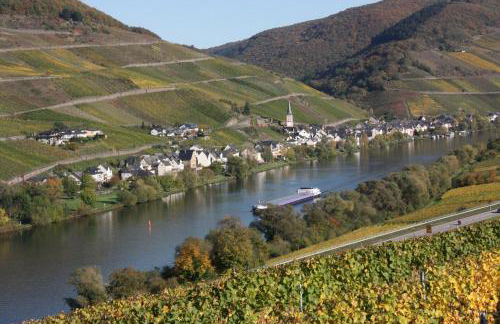 Fewo-am-Rotheschbach - Foto 17