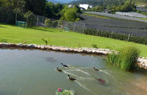 Residence Liesy - Foto 9