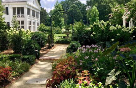 Myers Park Gem Great location - Foto 31