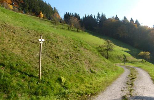 Holderstanzenhof - Foto 31