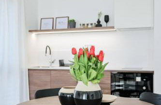 Apartman Baredine - Photo 21