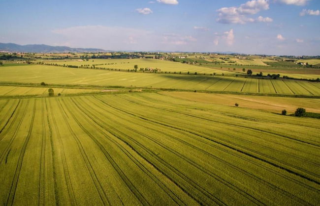 Farmhouse in Cortona With Pool - Foto 40