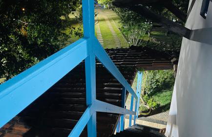 Vale das Rainhas - Photo 2