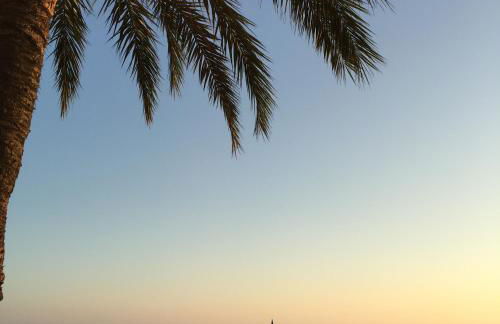 Studio Cosy Merle - Foto 29