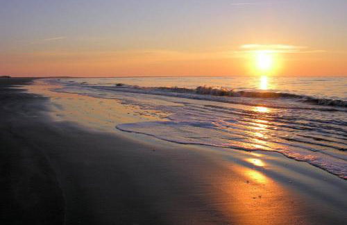 Beautiful home with modern conveniences - close to the beach, dogs welcome - Foto 48