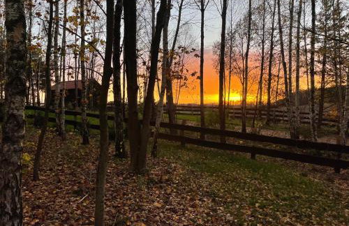 Szopa_Narie - Foto 10