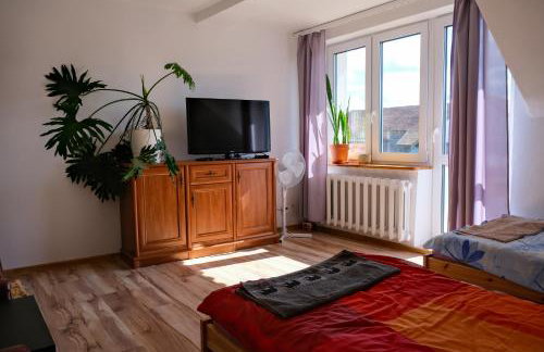 Pokoje u Ani - Foto 1