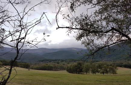 Casa del Castillo by Naturadrada - Foto 75