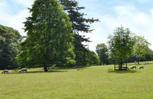 Cutcliffe Chambers - Hppr - Photo 14