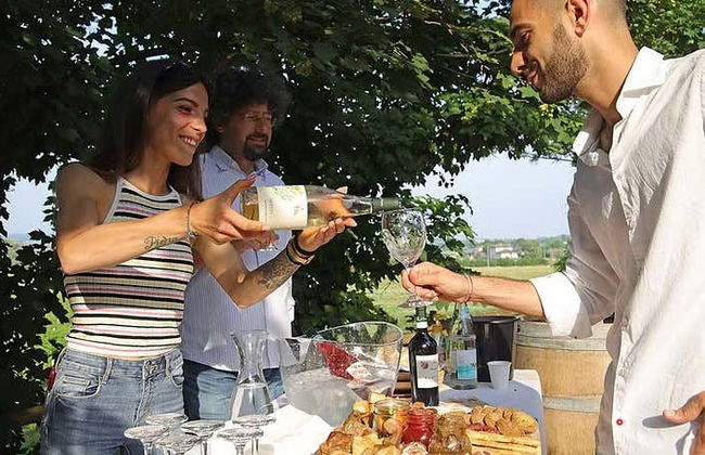 Visita di una fattoria biodinamica + Degustazione di vino - Foto 6